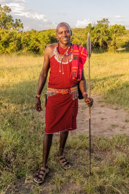 MASAI MARA, KENYA - 20 Şubat 2020: Mızrağıyla Masai savaşçısı, Kenya