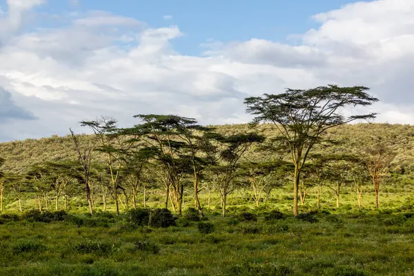 Kenya 'daki Cehennem Kapısı Ulusal Parkı' nın manzarası
