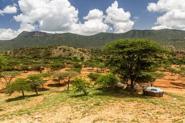 Kenya 'nın Güney Horr köyü yakınlarındaki Samburu kabile kulübeleri.