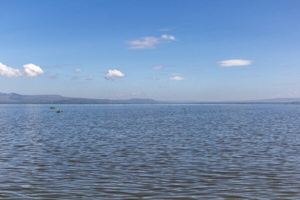 View of Naivasha lake, Kenya