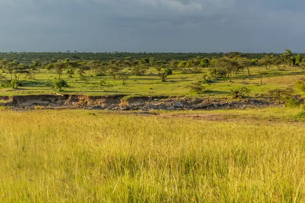 Kenya 'daki Masai Mara Ulusal Rezervi yakınlarındaki manzara