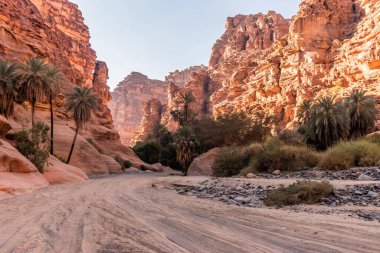 Wadi Disah Kanyonu, Suudi Arabistan 'da