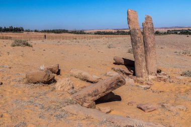 Sakaka, Suudi Arabistan 'daki Rajajil (Rajajel) kolonları