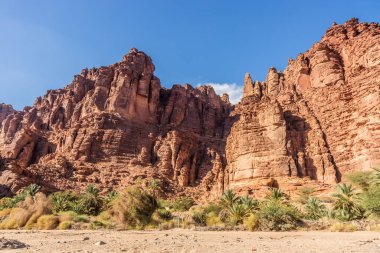 Wadi Disah Kanyonu 'ndaki sarp kayalıklar, Suudi Arabistan