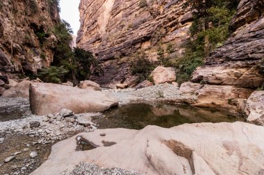 Wadi Lajab Kanyonu, Suudi Arabistan
