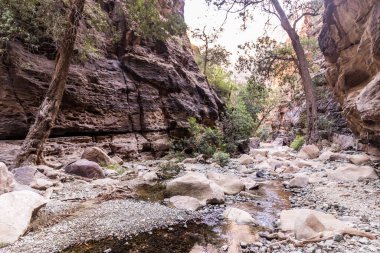 Wadi Lajab Kanyonu, Suudi Arabistan