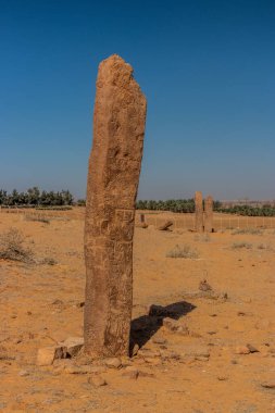 Sakaka, Suudi Arabistan 'daki Rajajil (Rajajel) kolonları