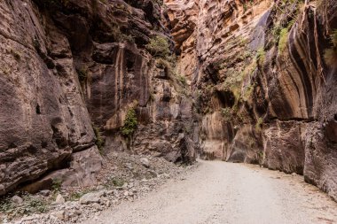 Wadi Lajab Kanyonu 'nda yol, Suudi Arabistan
