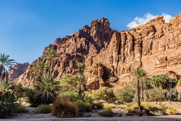 Wadi Disah Kanyonu 'ndaki sarp kayalıklar, Suudi Arabistan