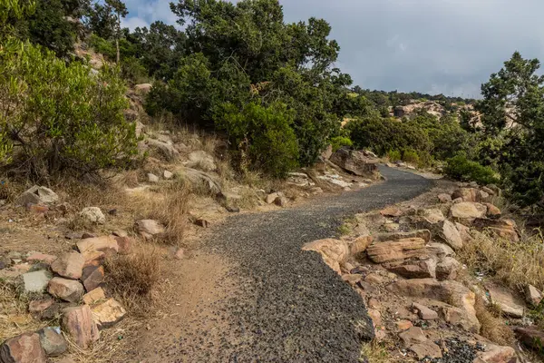 Suudi Arabistan 'daki Jabal Sawda Dağı yakınlarında yürüyüş yolu.