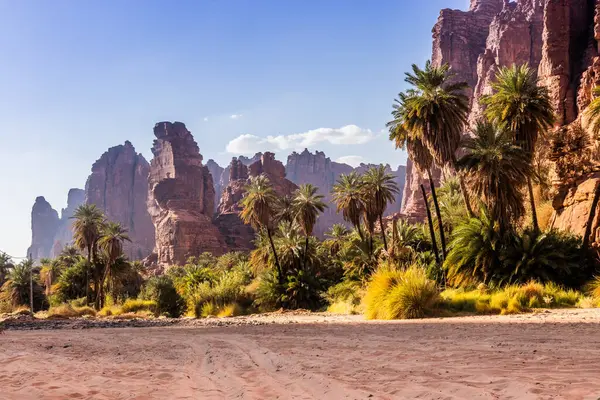 Wadi Disah Kanyonu 'nun uçurumları, Suudi Arabistan