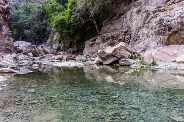 Acqua Limpida Nel Canyon Wadi Lajab Arabia Saudita Foto Stock Royalty Free
