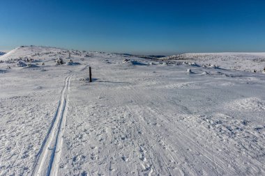 Krkonose (Dev) dağlarında kayak pisti, Çek Cumhuriyeti.