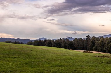 Çek Cumhuriyeti 'nin Vysoka Lipa köyü yakınlarındaki Çek İsviçre Ulusal Parkı manzarası