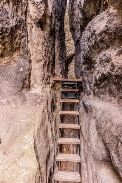 Çek Cumhuriyeti 'nin İsviçre Ulusal Parkı' ndaki Saunstejn rock kalesinin kalıntılarına giden merdivenler.