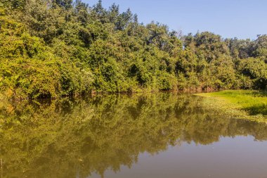 Luang Namtha 'nın yanındaki nehir, Laos