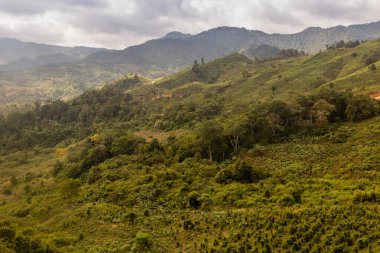 Laos 'un Phongsali ilindeki Samarkisay köyü yakınlarındaki manzara