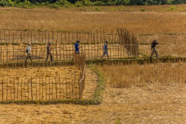 MUANG STK NEUA, LAOS - 25 Kasım 2019: Muang Ngoi Neua köyü yakınlarındaki tarlalarda yürüyüş yapan turistler.