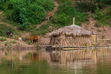 Nam Ou nehrinde yüzen ev, Laos