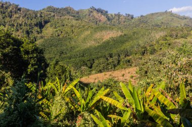 Nam Ha Ulusal Koruma Alanının manzarası, Laos