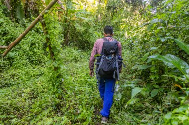 LUANG NAMTHA, LAOS - 18 Kasım 2019: Luang Namtha kasabası yakınlarındaki bir ormanda yerel rehber