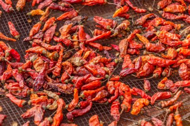 Kırmızı biberler Laos 'ta kurutuluyor.