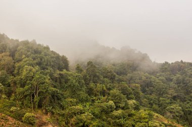 Phongsali, Laos yakınlarındaki puslu sabah manzarası