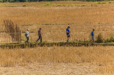 MUANG STK NEUA, LAOS - 25 Kasım 2019: Muang Ngoi Neua köyü yakınlarındaki tarlalarda yürüyüş yapan turistler.