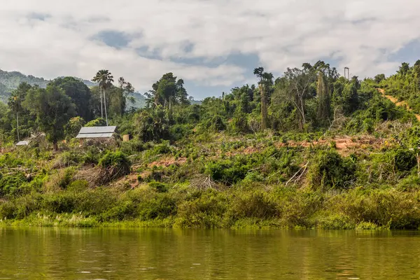 Trees are removed due to increasing levels of Nam Ou river during Nam Ou 3 dam filling, Laos