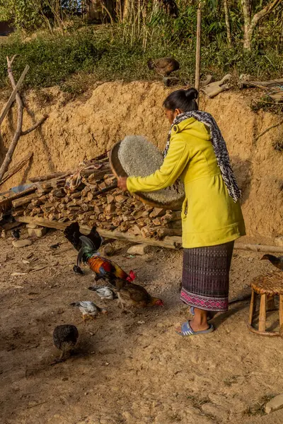 NAMKHON, LAOS - 19 Kasım 2019: Laos 'un Luang Namtha kasabası yakınlarındaki Namkhon köyünde yerel bir kadın pirinç kepeği veriyor