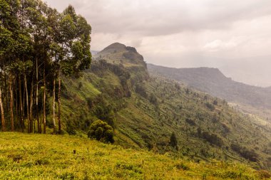 Elgon Dağı yakınlarındaki kırsal alan, Uganda