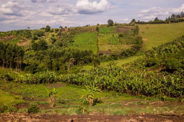 Fort Portal, Uganda yakınlarındaki krater göl bölgesinin verimli kırsal manzarası