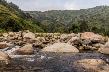 Uganda 'nın Kilembe köyündeki Nyamwamba Nehri