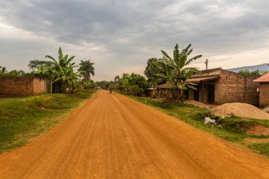 Uganda 'nın doğusundaki Budadiri köyünde yol.