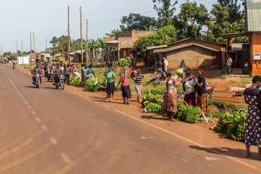 EASTERN UGANDA - 29 Şubat 2020: Doğu Uganda 'da bir köy manzarası
