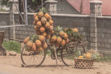 Mbarara, Uganda 'da ananas yüklü bisiklet