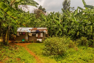 Budadiri, Uganda yakınlarındaki kır evi.