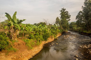 Budadiri yakınlarındaki Sirinko nehri, Uganda