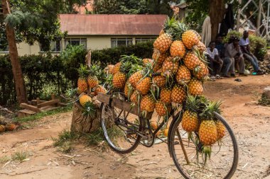 MBARA, UGANDA - 17 Mart 2020: Mbarara, Uganda 'da ananas yüklü bisiklet