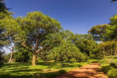 Entebbe Botanik Bahçeleri, Uganda