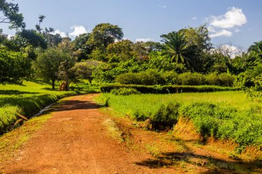 Entebbe Botanik Bahçeleri, Uganda