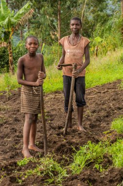 Fort PORTAL, UGANDA - 12 Mart 2020: Uganda, Fort Portal yakınlarındaki krater gölü yakınlarındaki Nyamirima Gölü yakınlarında çalışan yerel çocuklar