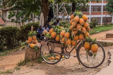 MBARA, UGANDA - 17 Mart 2020: Mbarara, Uganda 'da ananas yüklü bisiklet