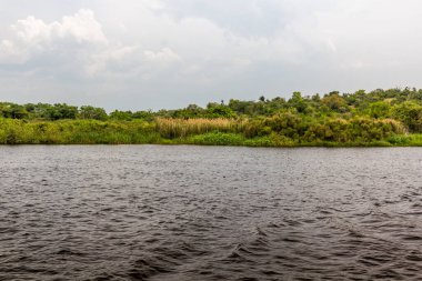 Victoria Nile Murchison Falls Ulusal Parkı, Uganda