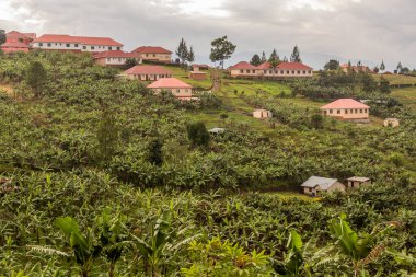 Fort Portal, Uganda yakınlarındaki krater gölü bölgesinde Nyamirima kreşi ve İlköğretim Okulu