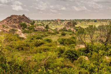 Nyero kaya resimleri sahasının manzarası, Uganda