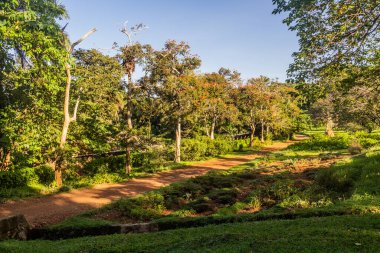 Entebbe Botanik Bahçeleri, Uganda