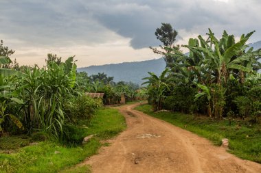 Uganda, Budadiri köyünde yol