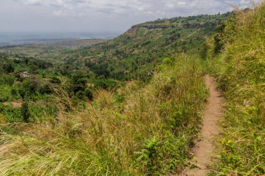 Sipi köyü yakınlarındaki kırsal alan, Uganda