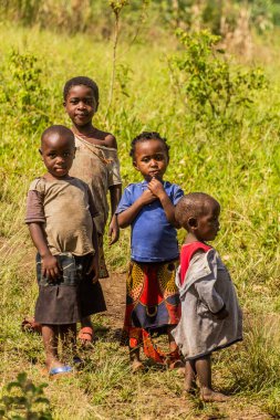 RWEETERA, UGANDA - 12 Mart 2020: Uganda, Fort Portal yakınlarındaki krater göl bölgesindeki Rweetera köyü yakınlarındaki çocuklar